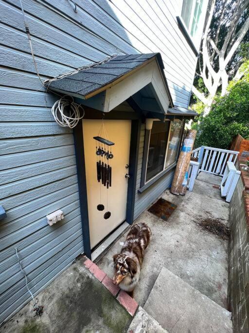 Central San Diego Lower Duplex, Huge Yard, Fenced Exterior photo