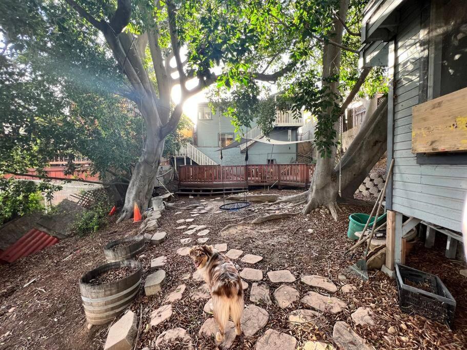 Central San Diego Lower Duplex, Huge Yard, Fenced Exterior photo